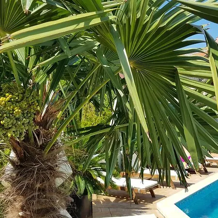 Aria Complex Aparthotel Sveti Vlas